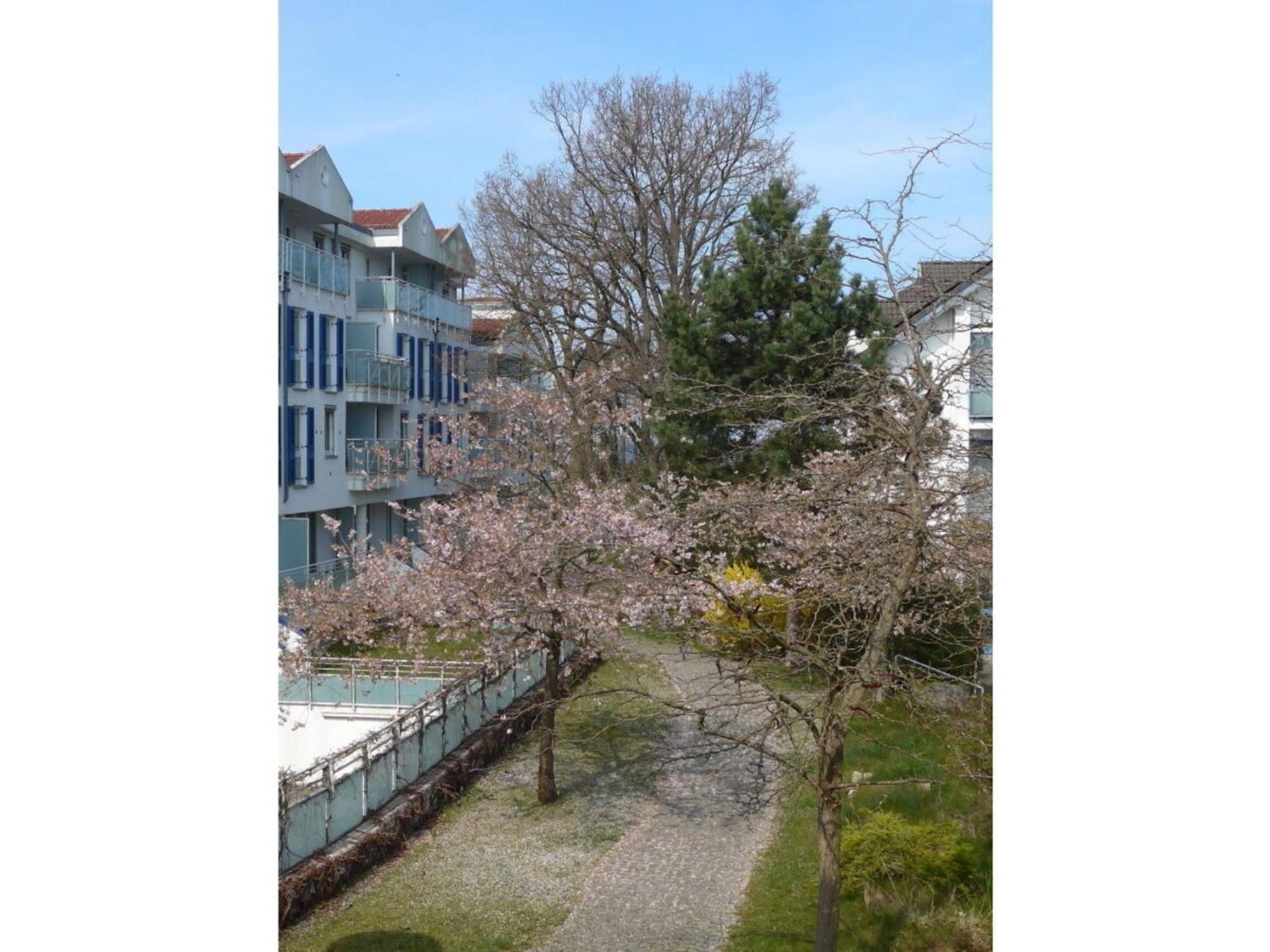 Am Kurhaus 508 - Ostsee-Lug, Pp Am Bernsteinhaus Zingst Ngoại thất bức ảnh